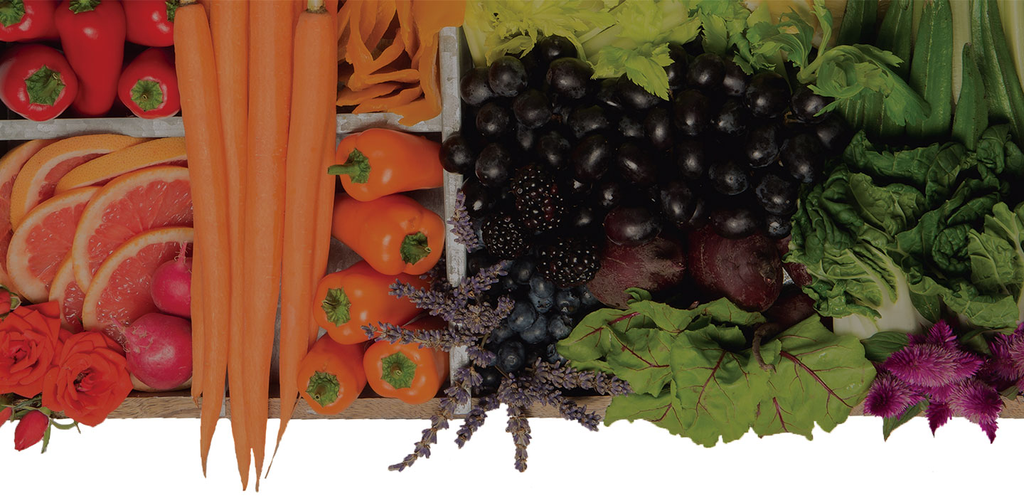 Ayoko Design Web Print logo